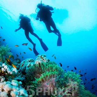 Дайвинг на Пхукете