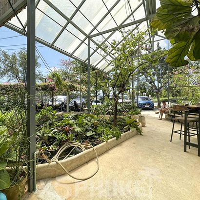 Территория