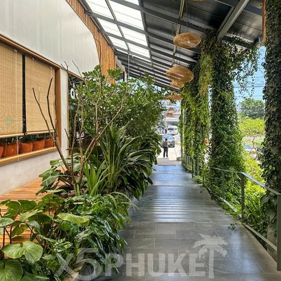 Территория