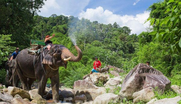 Экскурсия Кхао Лак Сафари на Пхукете