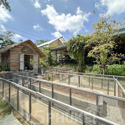 Территория