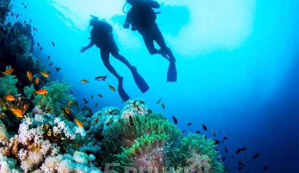 Дайвинг на Пхукете